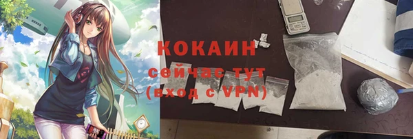 прущие крисы Няндома