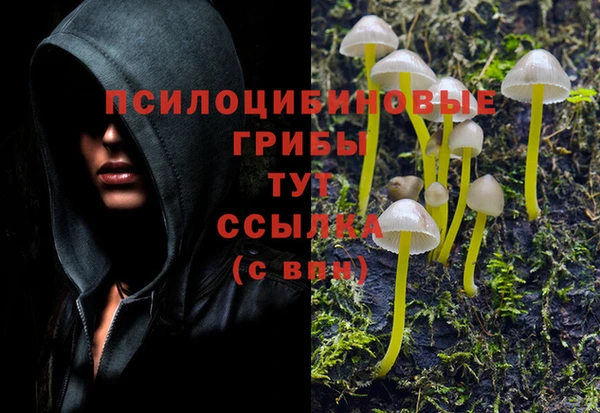 спиды Нягань