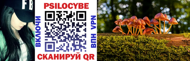 где купить наркотик  Рыльск  Галлюциногенные грибы прущие грибы 